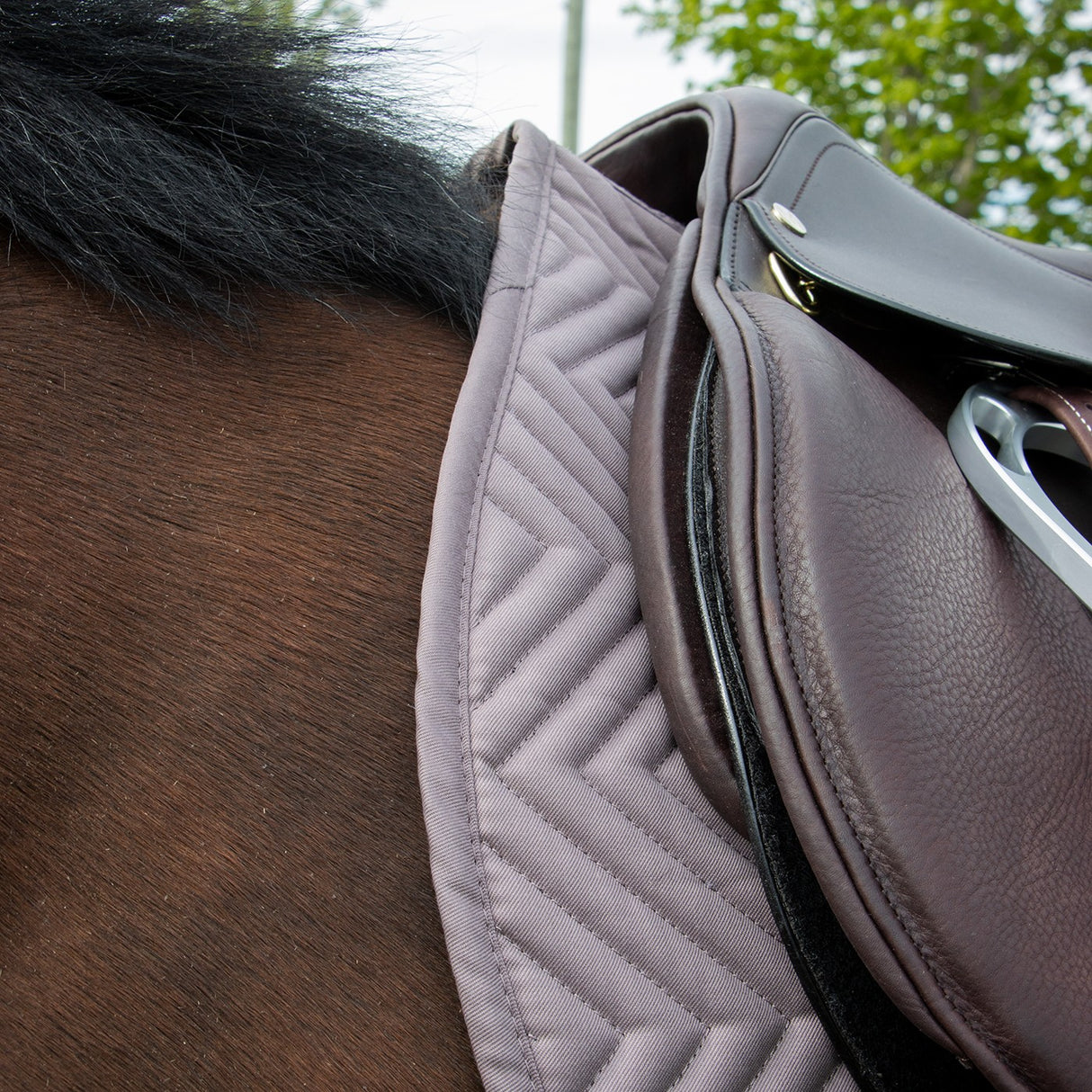 Tapis de selle Supra Every Day Essential