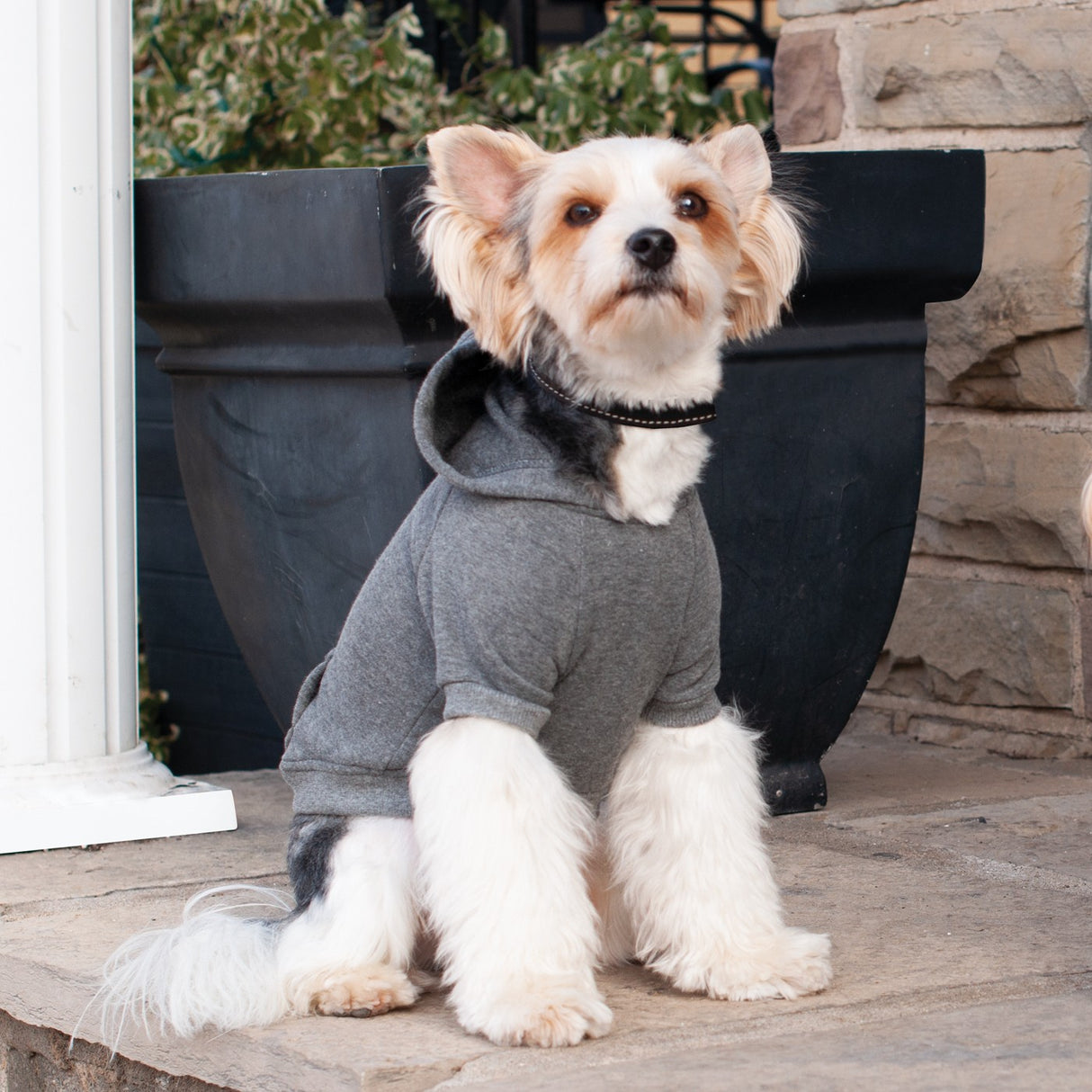 Shedrow K9 Brentwood Dog Hoodie