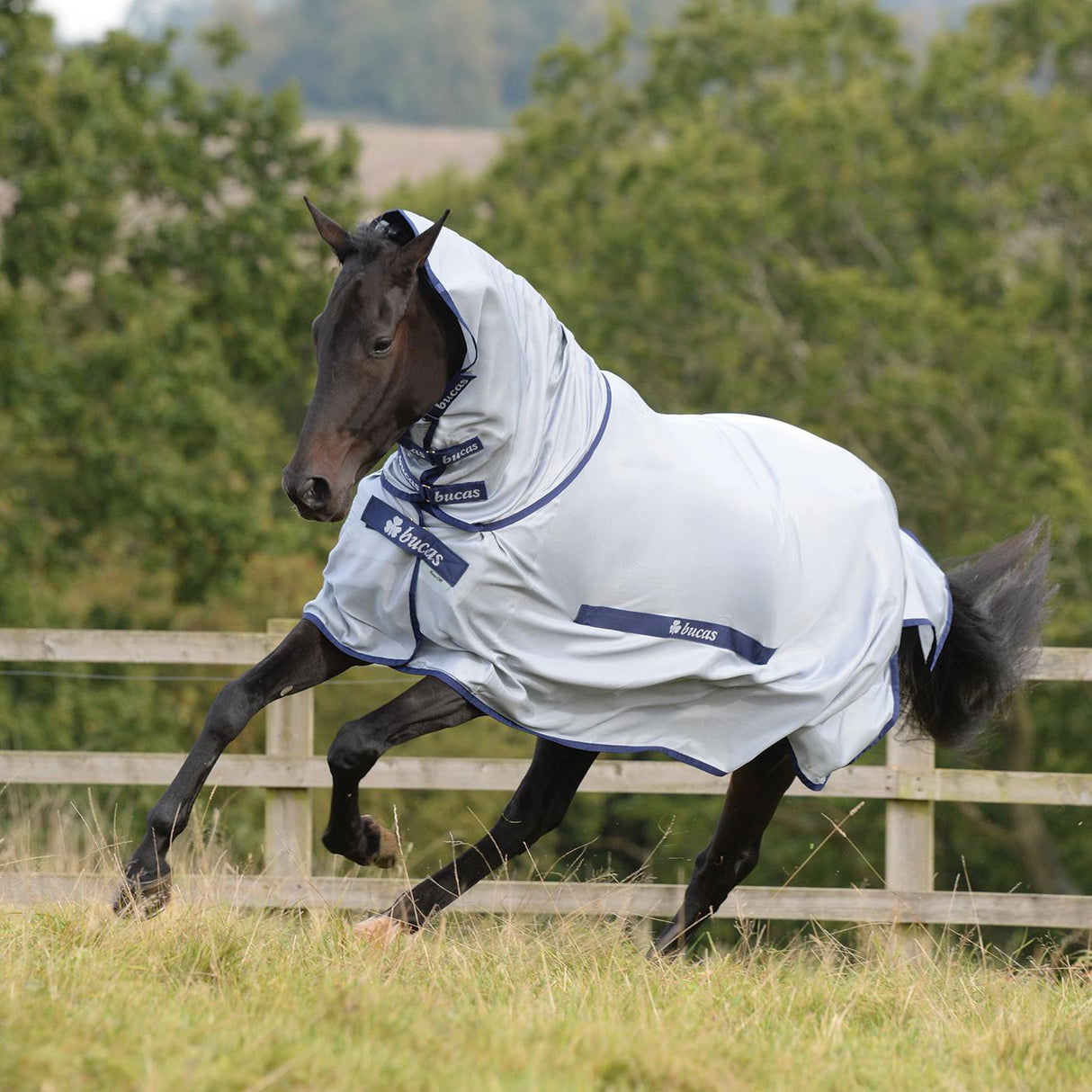 Bucas Buzz Off Fly Sheet W- Detachable Neck
