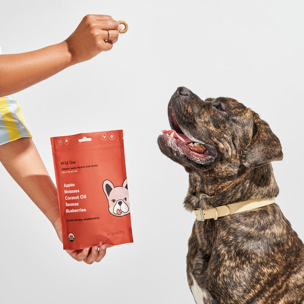Friandise pour chien à la salade de fruits Wild One, 8 oz