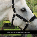 Shedrow Breakaway Halter W- Fleece
