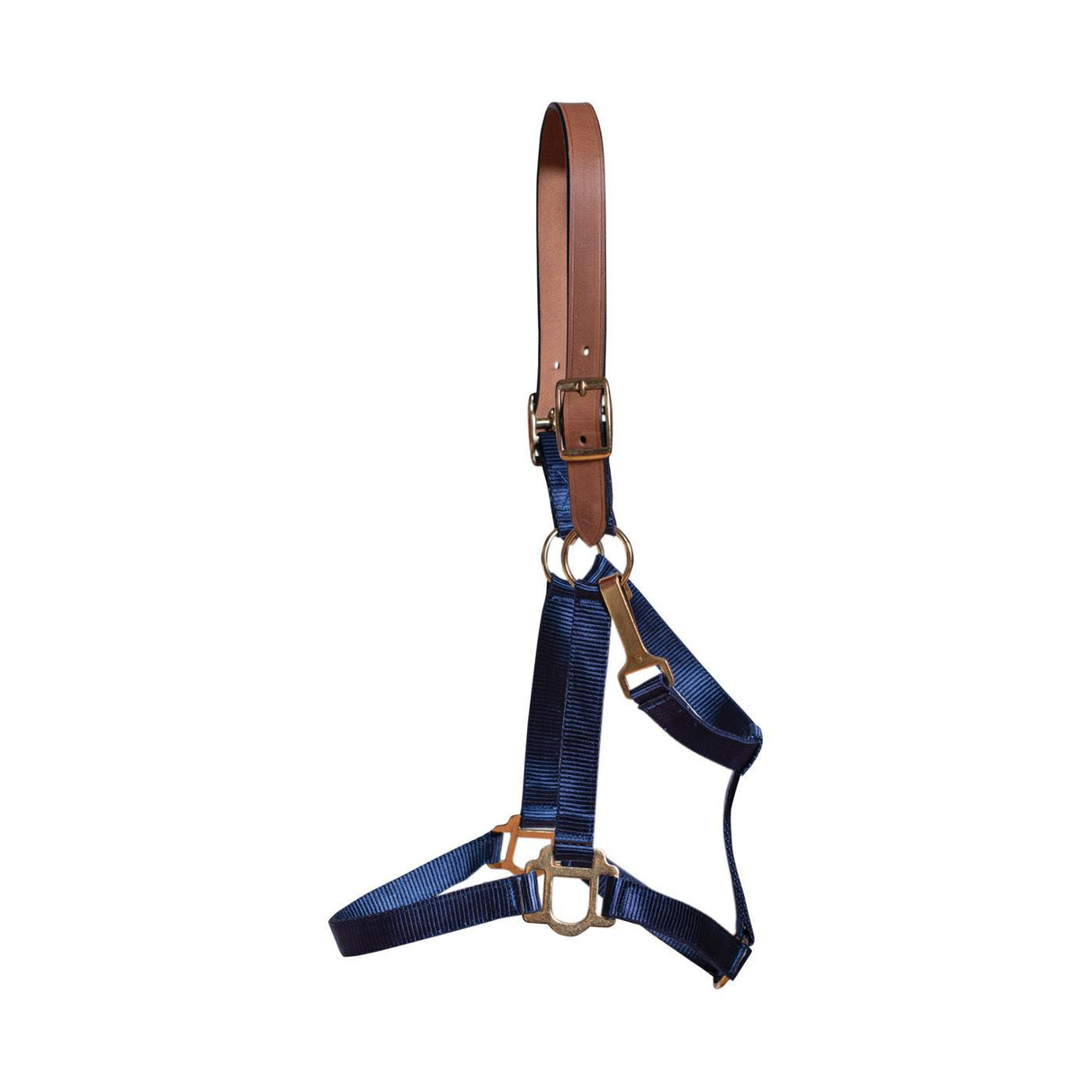 Supra Nylon Halter W- Leather Crown