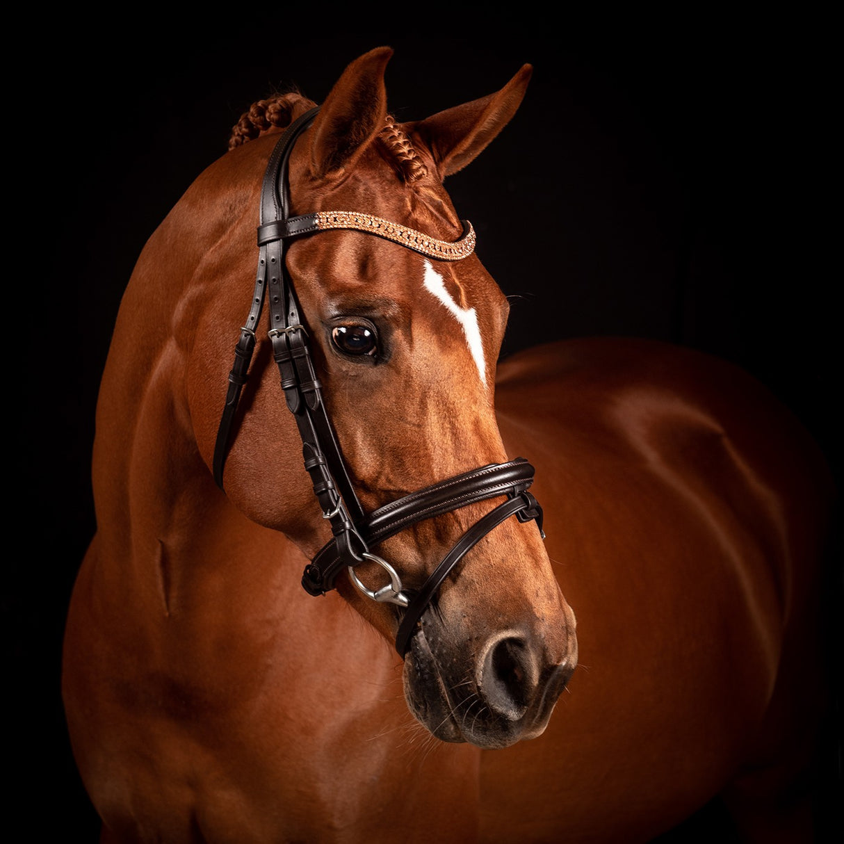 Bride de dressage FFE Princess Wave en or rose