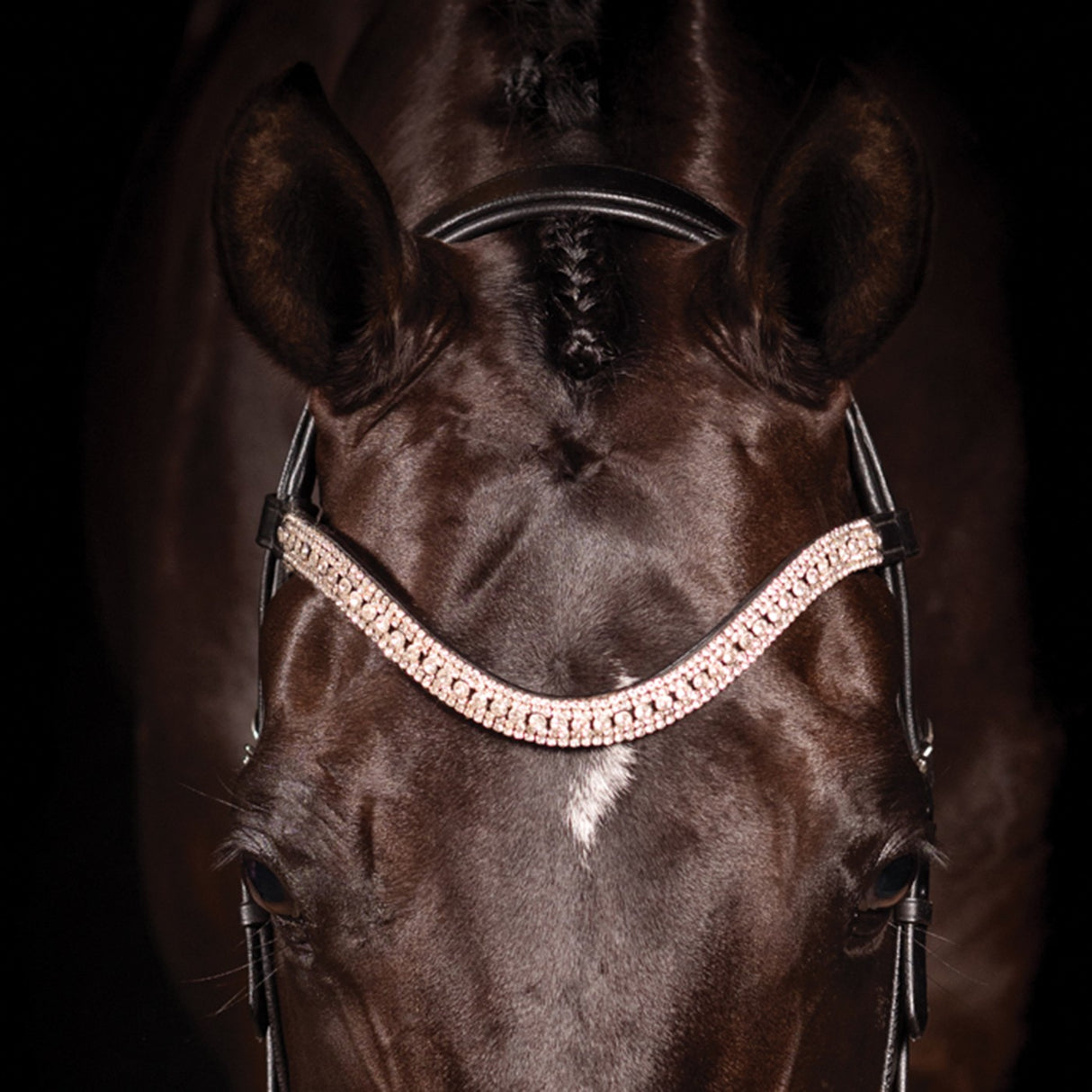 Bridon de dressage breveté FFE Couture