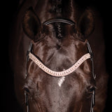 Bridon de dressage breveté FFE Couture
