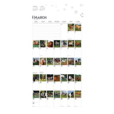 BrownTrout 366 Days of Horses 2024 Square Calendar