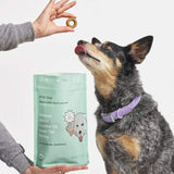 Wild One Fresh Breath Dog Treat 8 Oz