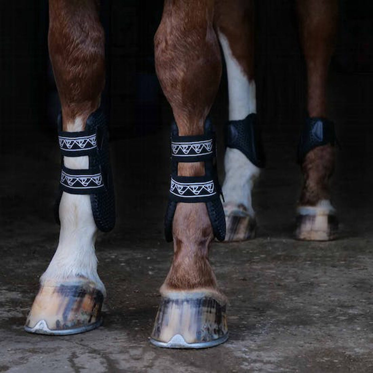Equilibrium Tri-Zone Open Front Tendon Boots