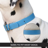 Collier imperméable Shedrow K9 Tofino II