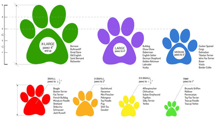 Pawz Dog Boots