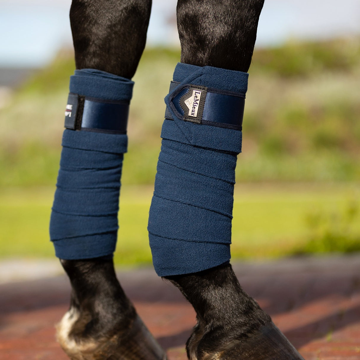 LeMieux Loire Polo Bandages