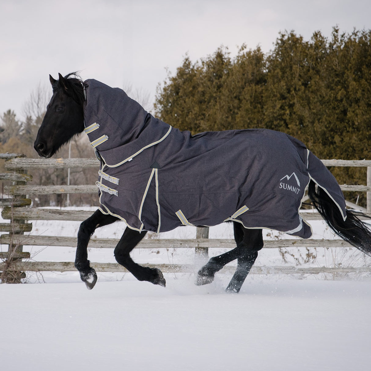 Summit North Combo Turnout 100 g W- Liner 200 gm