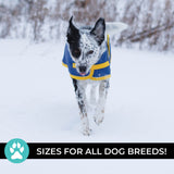 Manteau pour chien Shedrow K9 Tundra
