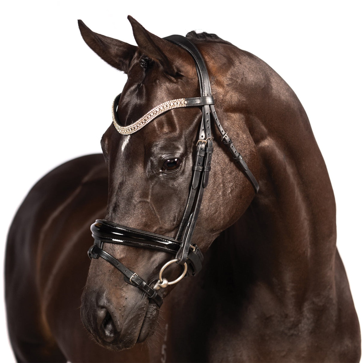 Bridon de dressage breveté FFE Couture