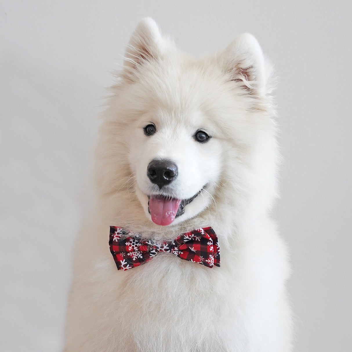Lulubelles by Huxley & Kent Buffalo Check & Snow Bow Tie