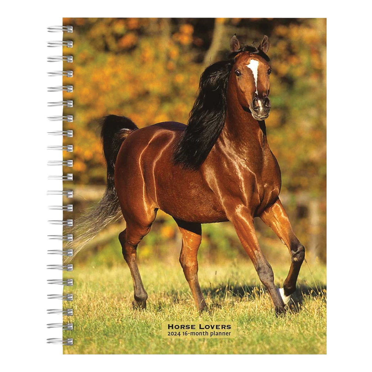 BrownTrout Horse Lovers 2024 Weekly Engagement Calendar