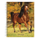 BrownTrout Horse Lovers 2024 Weekly Engagement Calendar