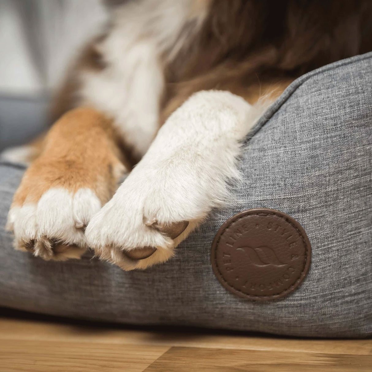 Back on Track Rocky Dog Bed