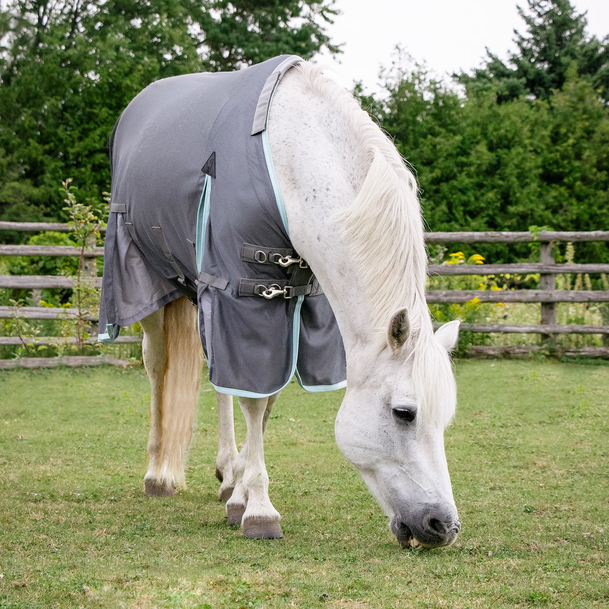 Swift Fly Sheet W- Detachable Hood
