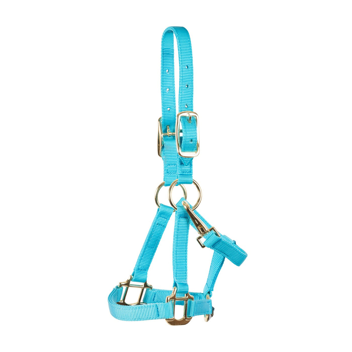 Shedrow Mini Nylon Halter