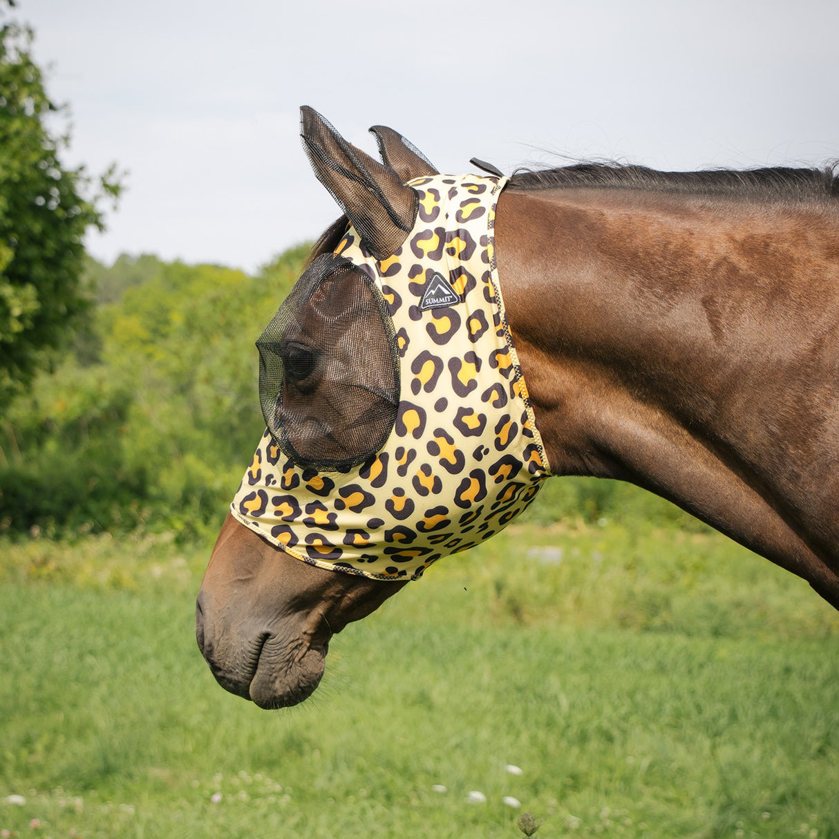 Summit Fly Mask W/ Forelock Hole