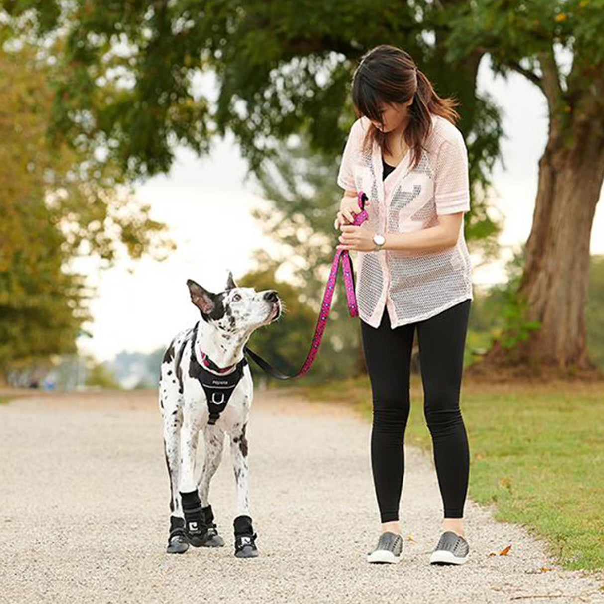 Harnais de contrôle de l'élan pour animaux de compagnie RC