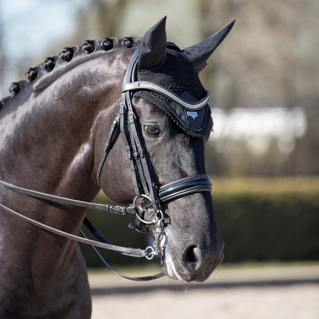 LeMieux Loire Fly Hood