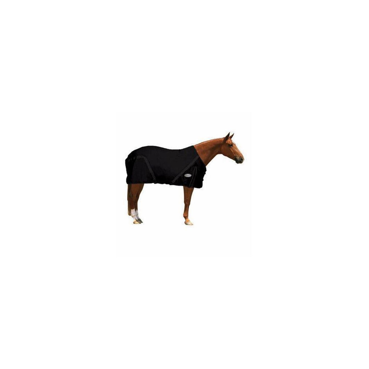 testbb