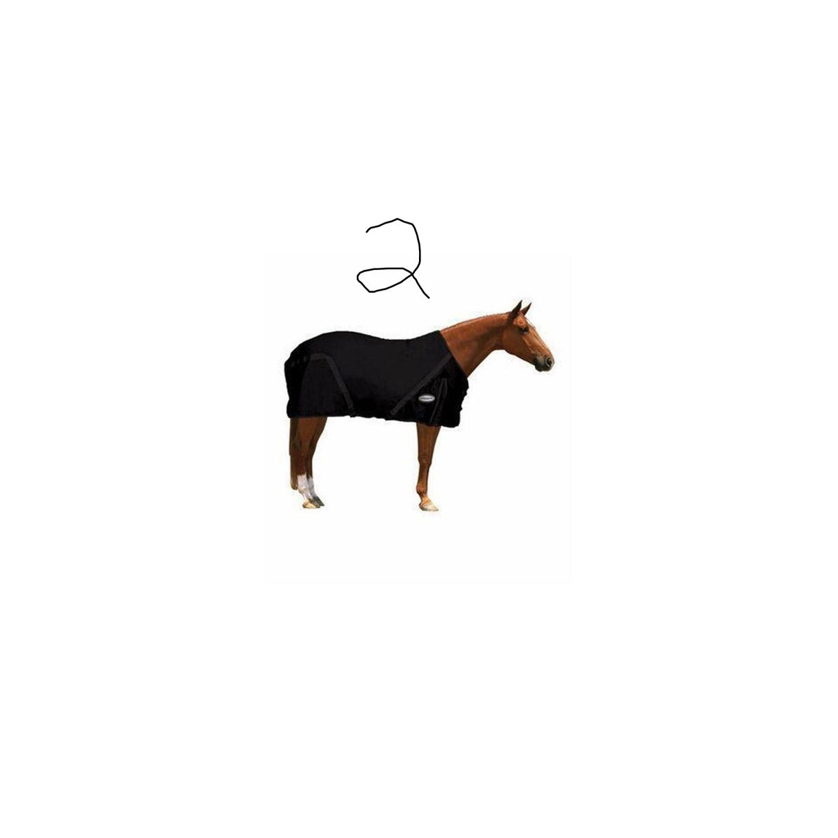 testbb