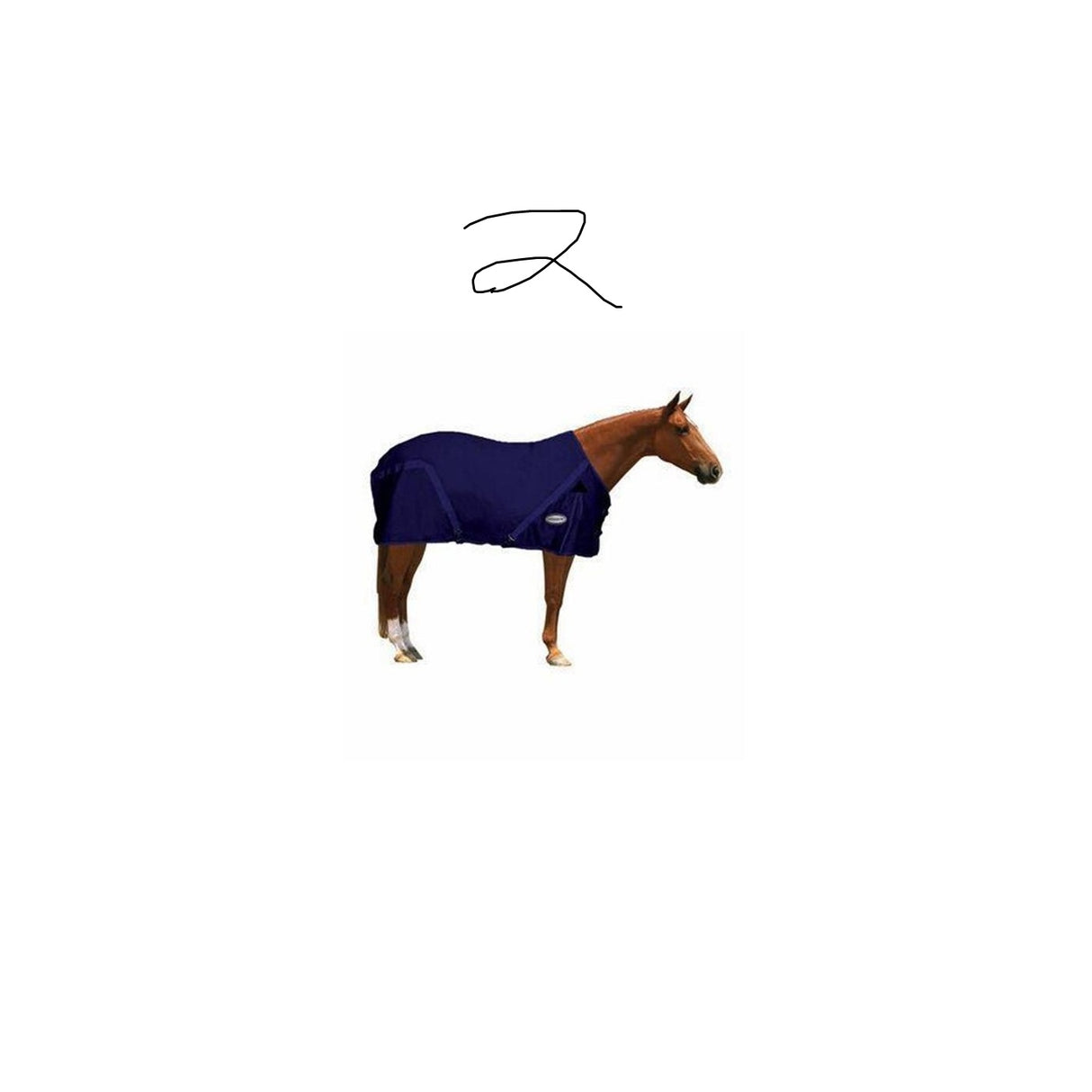 testbb